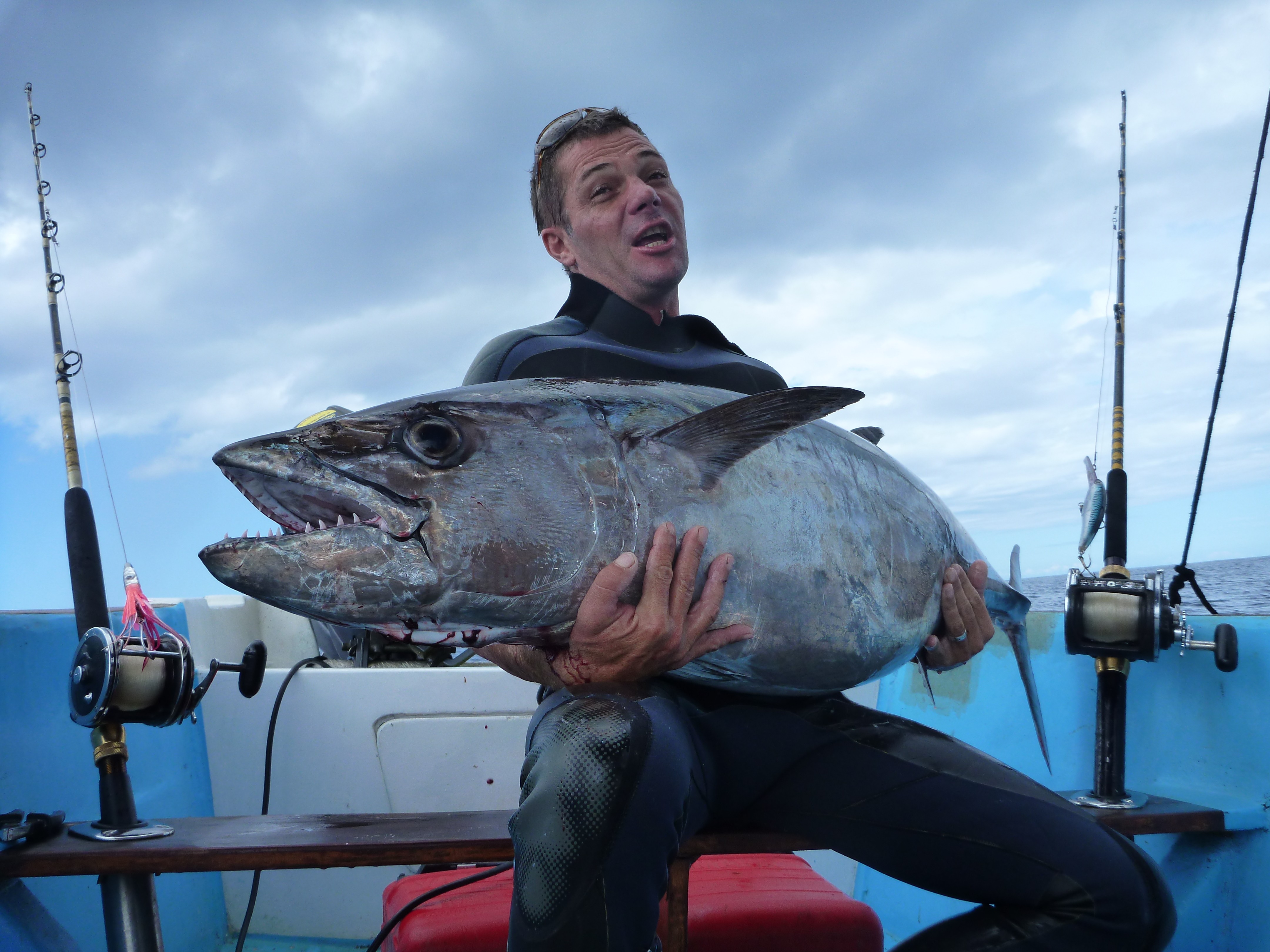 barkarjol pa s palico zobatu TUNO 40kg